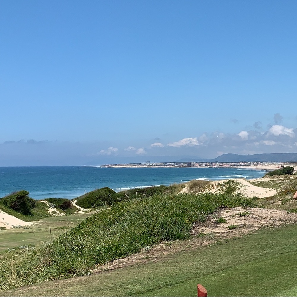 Meet your Posher, Frances